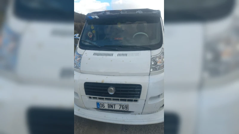 Firma galerisi 13582 nolu görsel