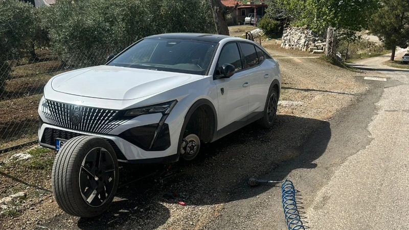 Firma galerisi 13077 nolu görsel