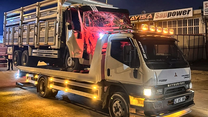 Firma galerisi 15650 nolu görsel