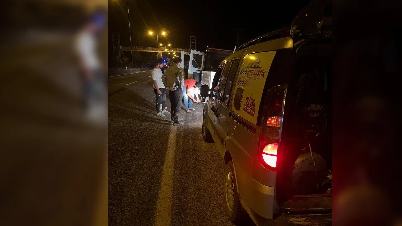 Firma galerisi 11505 nolu görsel