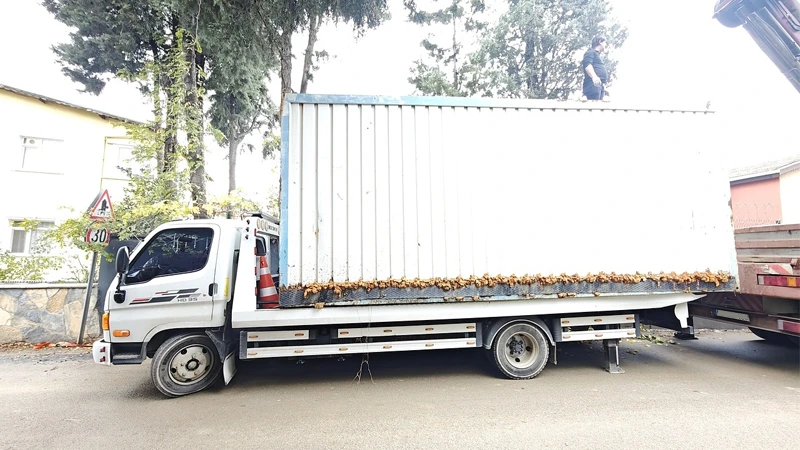 Firma galerisi 12282 nolu görsel