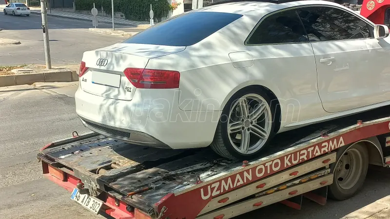 Müşterinin 1626732 nolu iş ile ilgili görseli