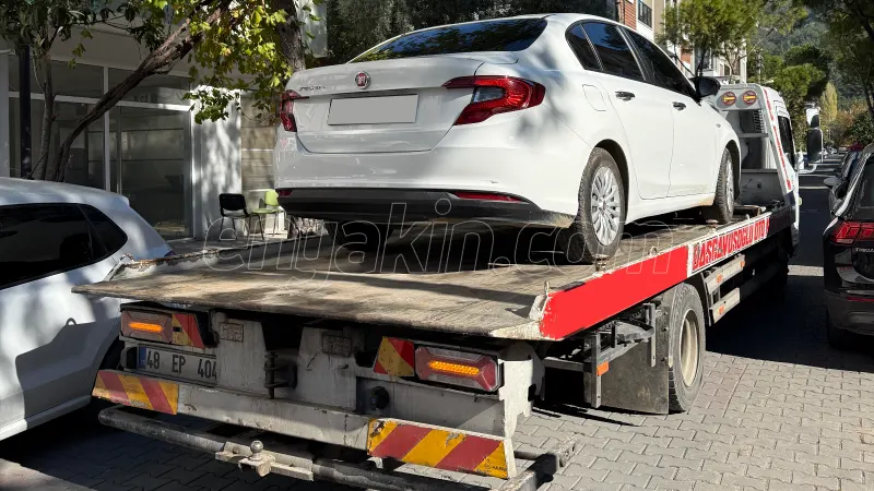 Müşterinin 1693559 nolu iş ile ilgili görseli