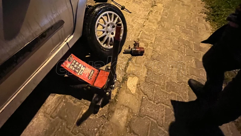 Müşterinin 1733626 nolu iş ile ilgili görseli